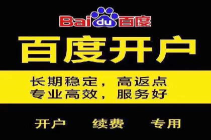 探索SEM竞价优化：成功企业的广告策略